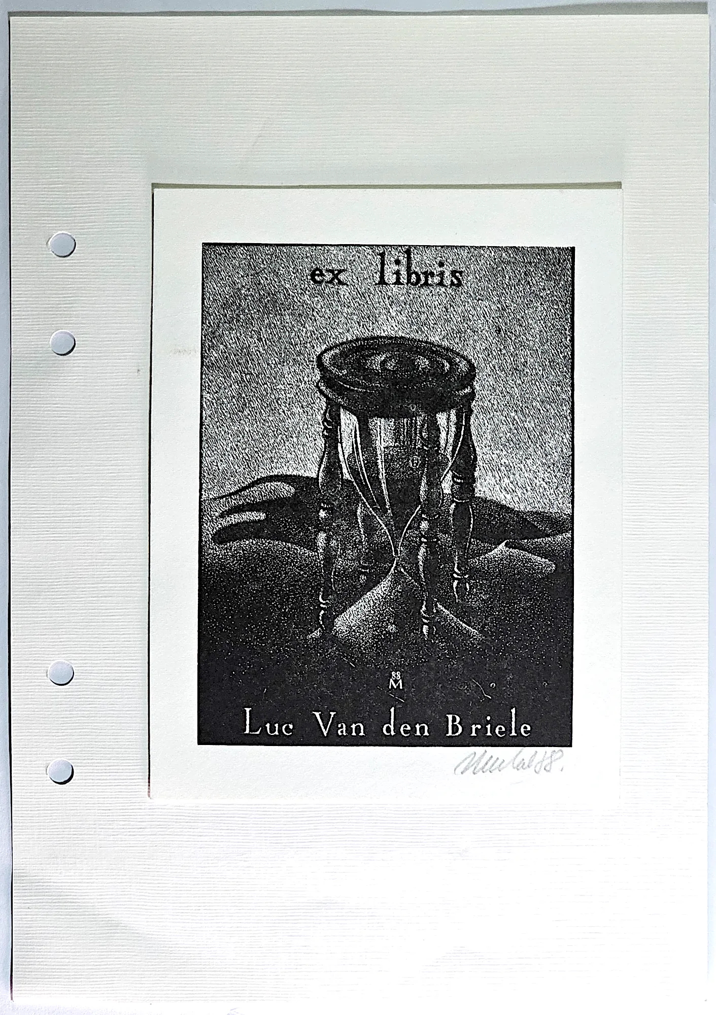 Luc Van den Briele, zdjęcie 2 z 3